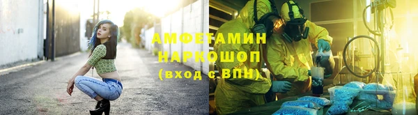 шишки Алзамай