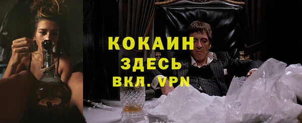 a pvp Алексин