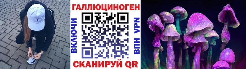 купить  сайты  blacksprut вход  Галлюциногенные грибы Magic Shrooms  Чехов 